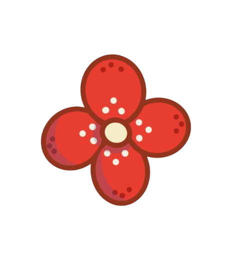 4 petal flower